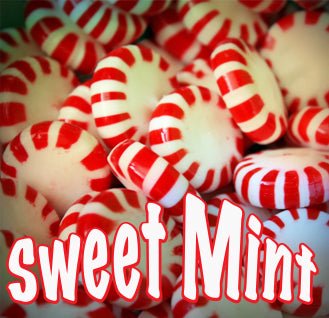 VINTAGE 60ML - Sweet Mint - VAPES MEXICO VINTAGE